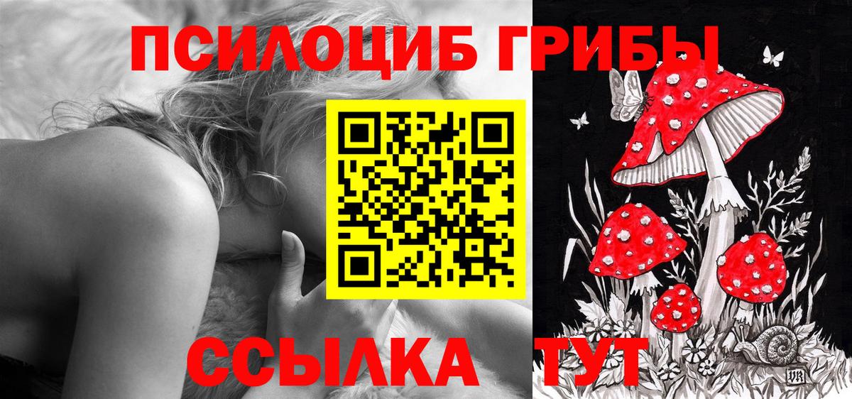 Галлюциногенные грибы MAGIC MUSHROOMS  Вход с VPN  Мытищи 