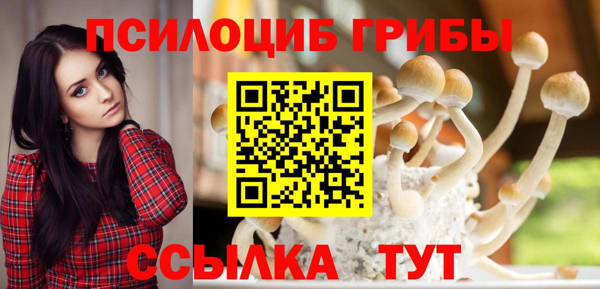 Псилоцибиновые грибы прущие грибы Мытищи