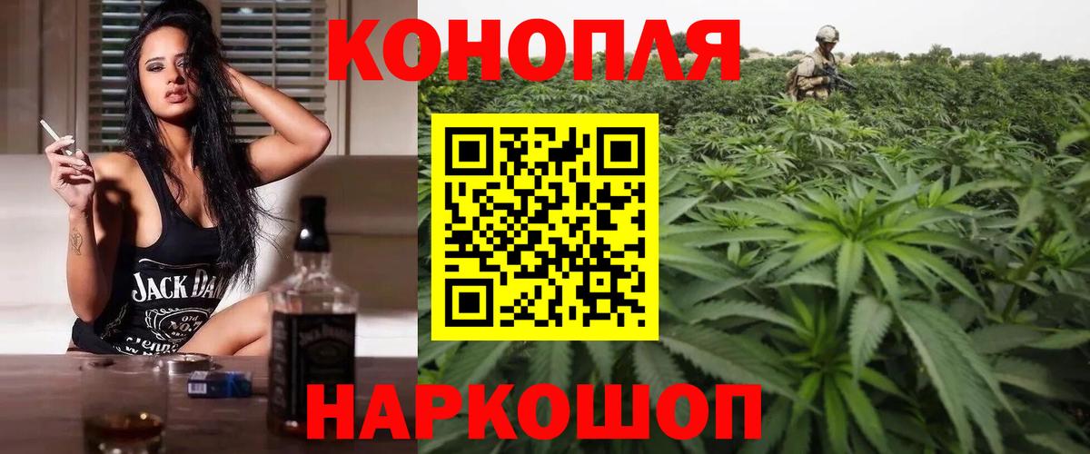 Шишки марихуана OG Kush Мытищи